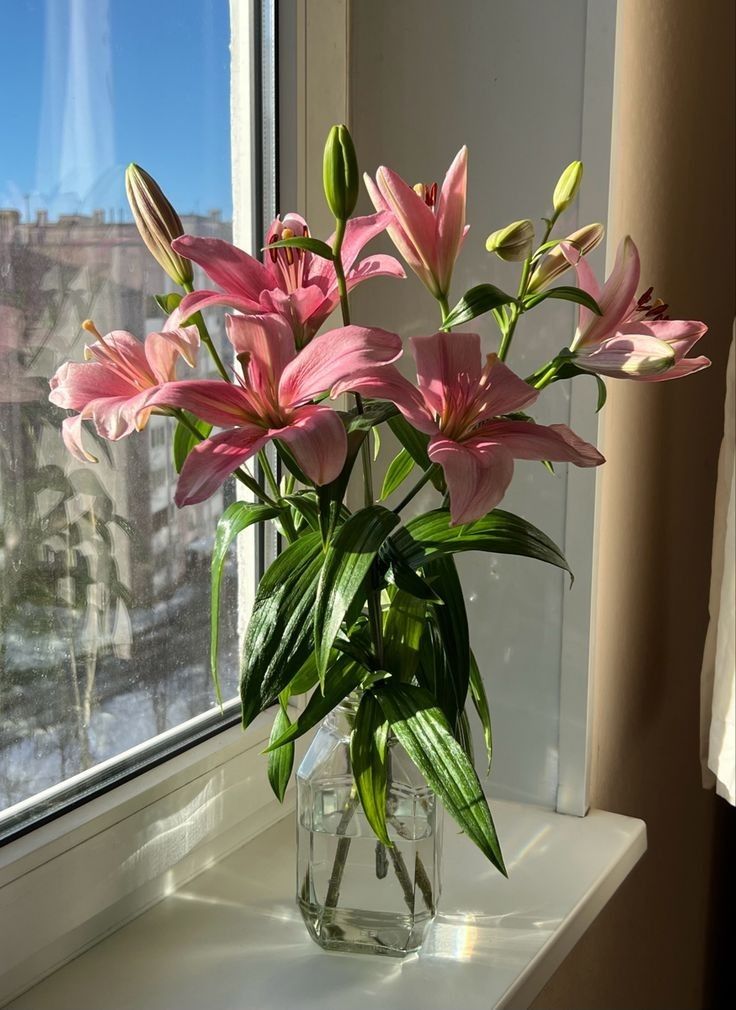 a vase filled with pink flowers on top of a window sill