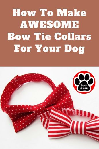 how to make an awesome bow tie collars for your dog