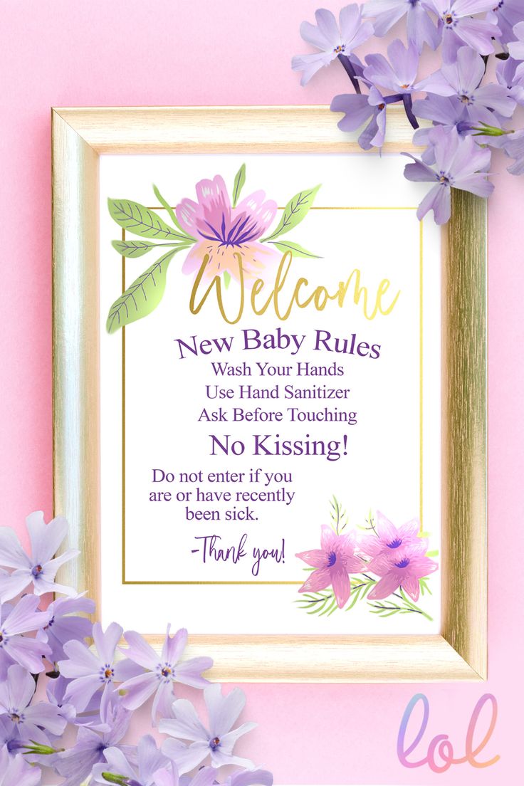 a welcome sign with purple flowers in front of it and the words welcome to new baby rules