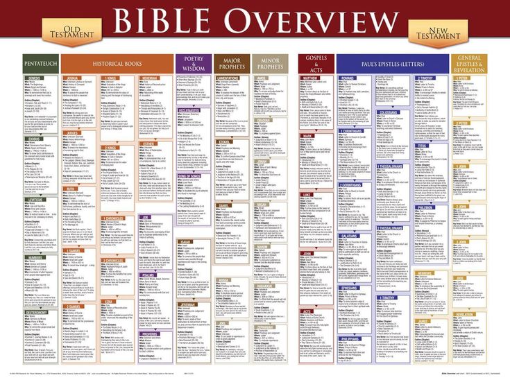 the bible overview poster with words on it