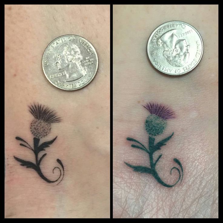 two small tattoos on the side of their legs, one with a thistle flower and another with a coin