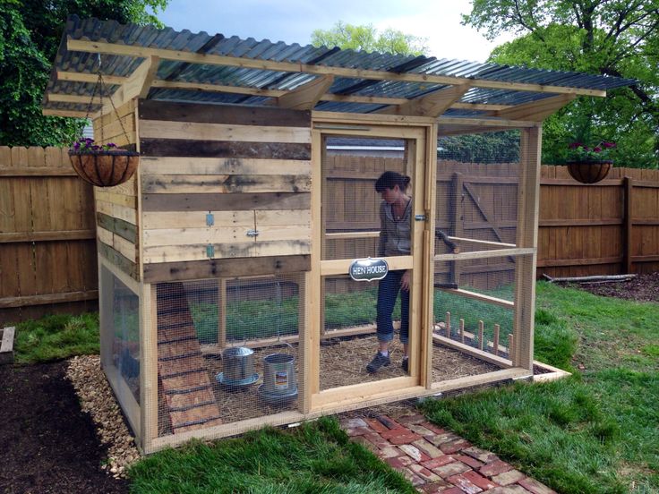 a person standing inside of a chicken coop