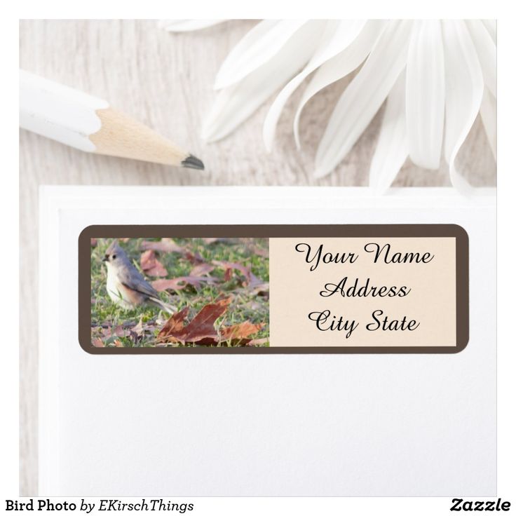 a bird is sitting on top of a white envelope with a brown border and the words, your name address city state