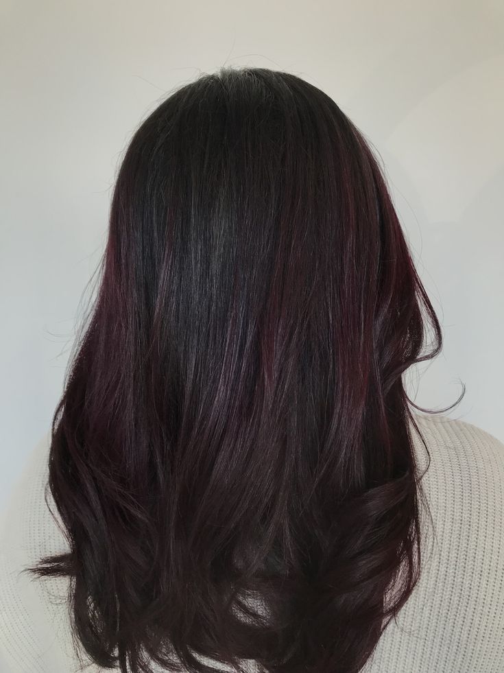 Purple hair with red undertone 💜 Black Hair With Plum Balayage, Black Hair With A Hint Of Red, Dark Brunette Hair With Burgundy, Dark Red Hair With Purple Undertones, Red Undertone Brunette, Black Hair With Tint Of Red, Dark Hair With Burgundy Undertones, Berry Black Hair, Dark Cherry Red Highlights In Black Hair