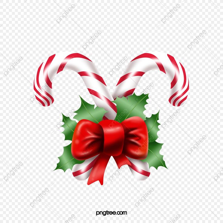 christmas candy canes with holly leaves and red bow on transparent background png clipart