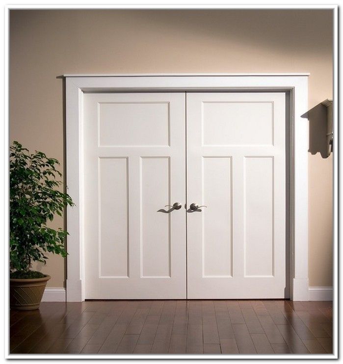 two white doors in a room with wood flooring and potted plant next to them