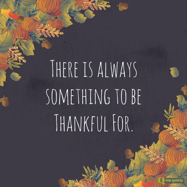 there is always something to be grateful for on this thanksgiving card from the holiday spirit