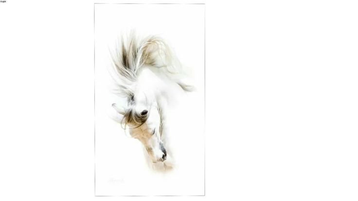 a white horse with long hair running through the air