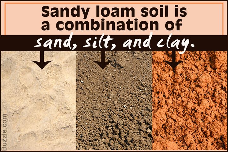 sand, dirt and clay with the words sandy loam soil is a combination of sand, slats and clay