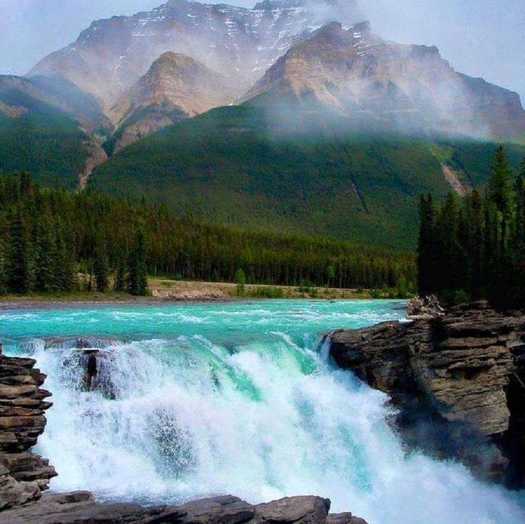 a large waterfall in the middle of a forest filled with trees and mountains behind it