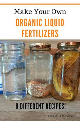 8 Organic liquid fertilizers you can make! | Organic gardening tips ...