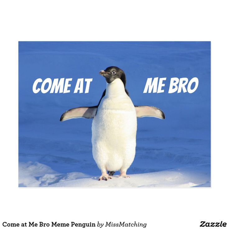 a penguin is standing in the snow with his arms spread out and it's eyes open