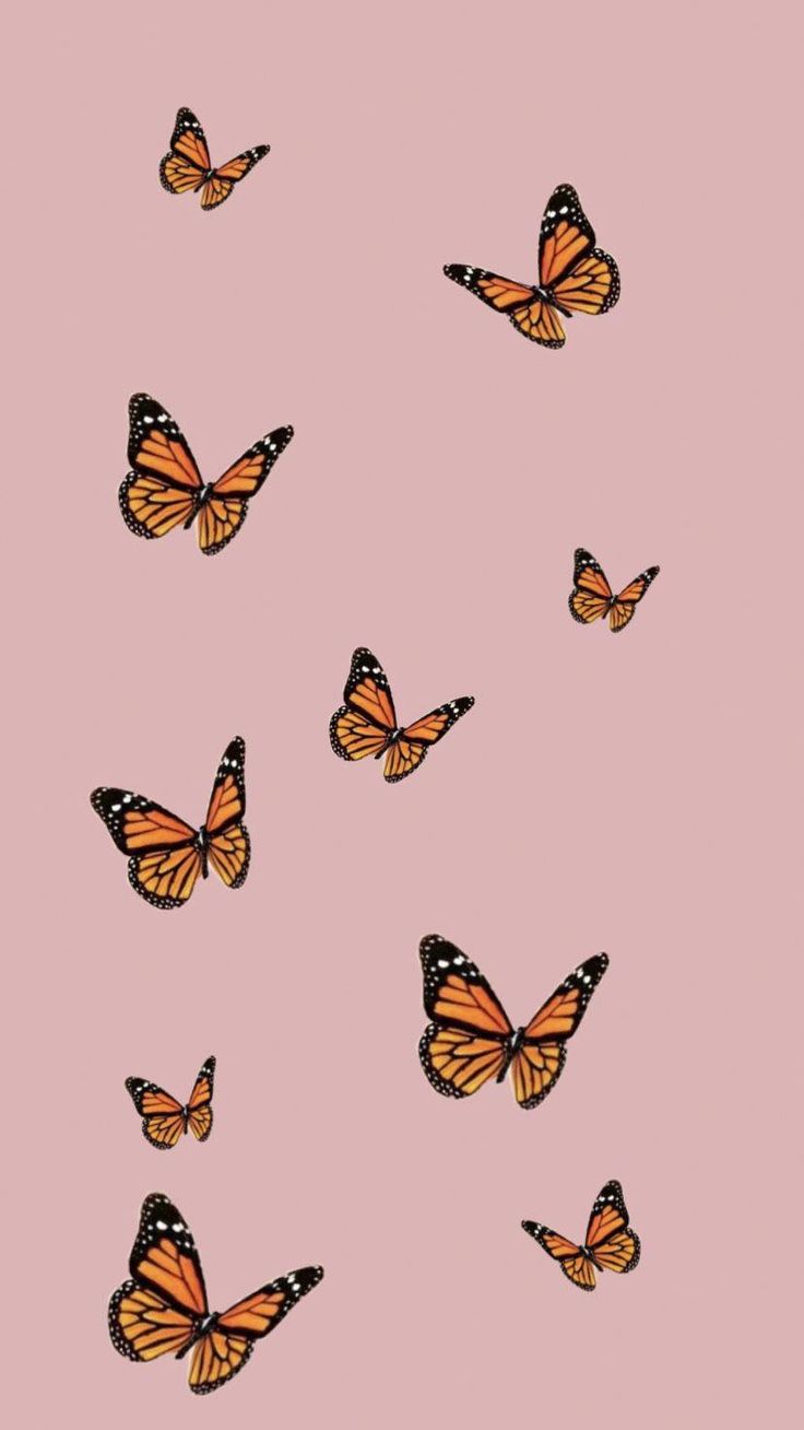 many orange butterflies flying in the air on a pink background with space for your text