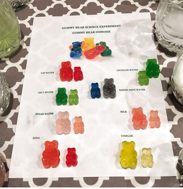 Printable Gummy Bear Experiment