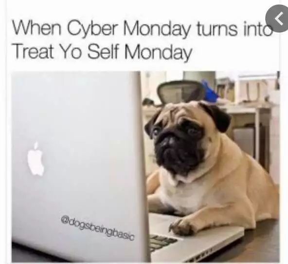 18 Cyber Monday Animal Memes Because They Want In On The Action  Animal  memes Cyber monday meme Monday memes