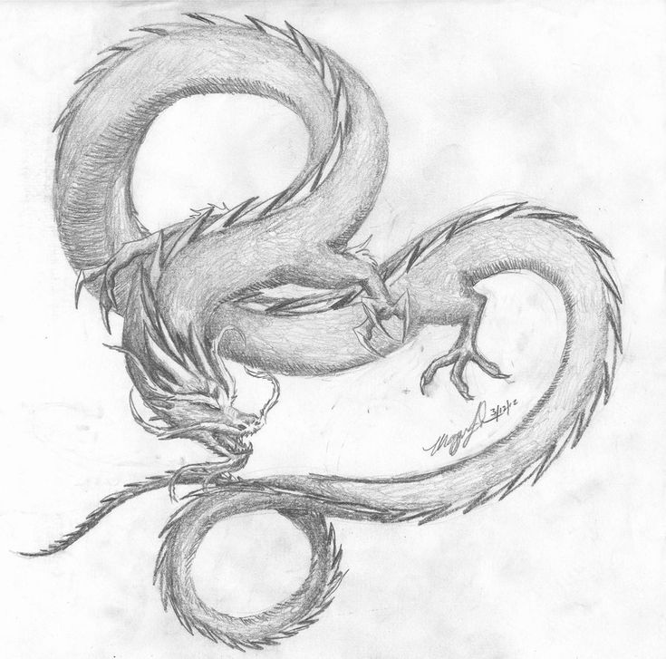 a pencil drawing of a dragon with its tail curled in the shape of an o