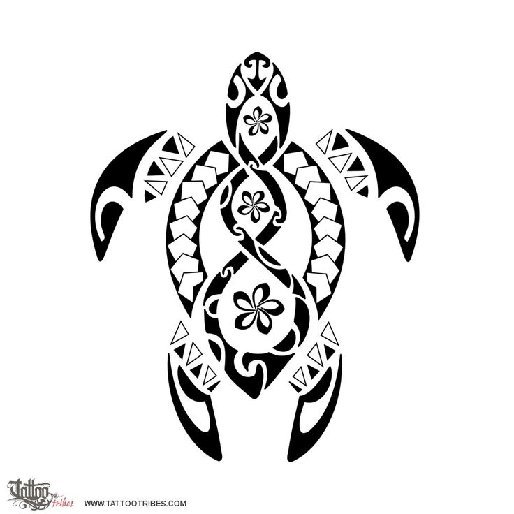 a black and white drawing of a turtle with an intricate design on it's back