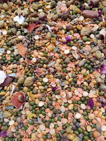 many different types of seeds and nuts are scattered together on the ground in this image