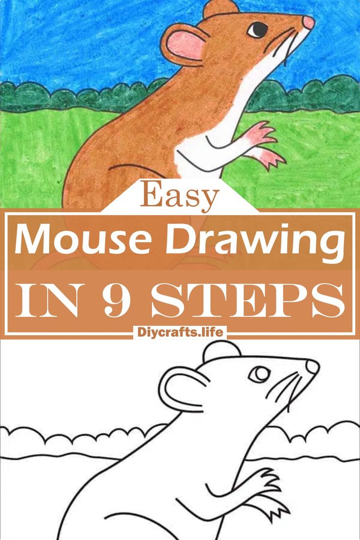 an easy mouse drawing in 9 steps