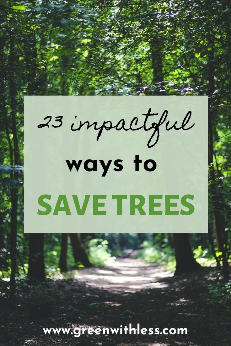 How to Save Trees: 23 Impactful Ways to Take Action - Green With Less ...