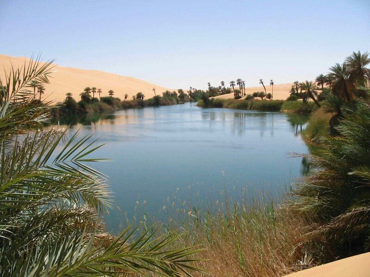 a body of water surrounded by palm trees and sand dunes in the distance with blue sky