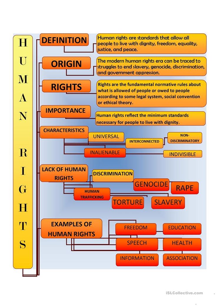 the human rights diagram is shown in orange and yellow colors, with words describing different kinds of human rights