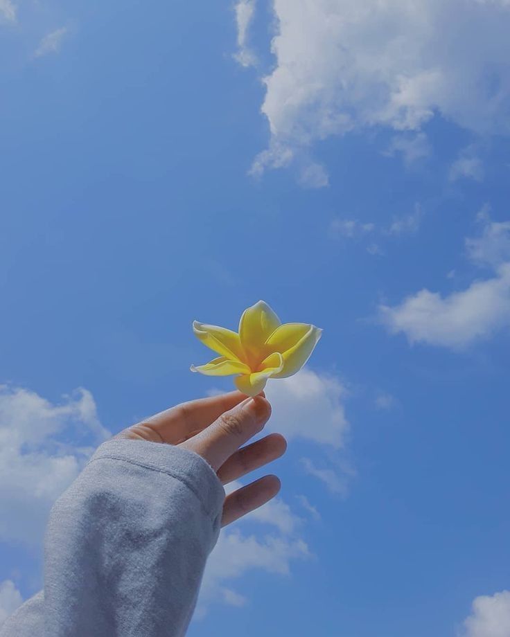 a person's hand holding a yellow flower in the sky