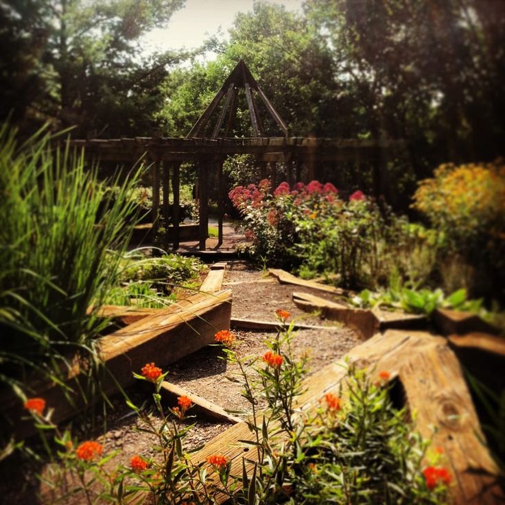 an outdoor garden with lots of flowers and trees