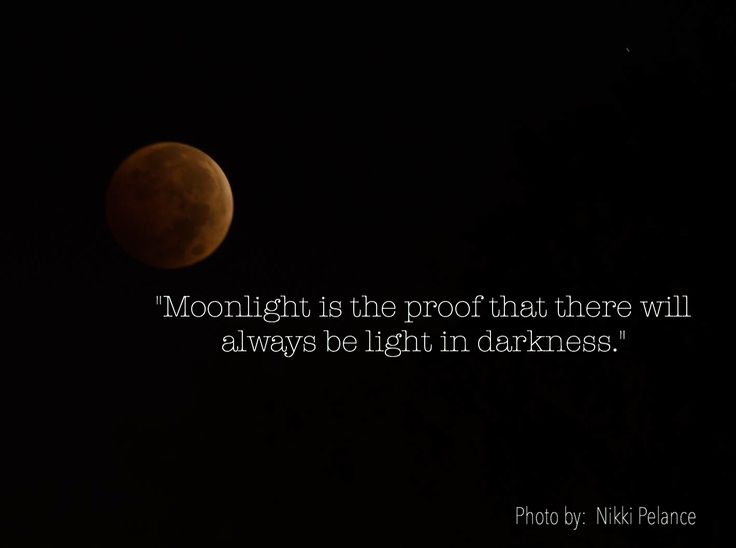 Light in the darkness Meme  Photo by Nikki Pelance Meme Photo, Light In The Darkness, In The Darkness, The Darkness, Memes, Quotes