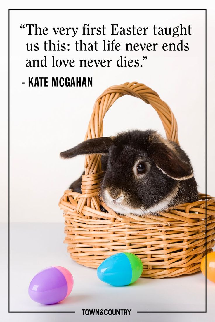 a rabbit sitting in a basket with easter eggs around it and a quote from kate mcchan about the very first easter taught us this that life never ends