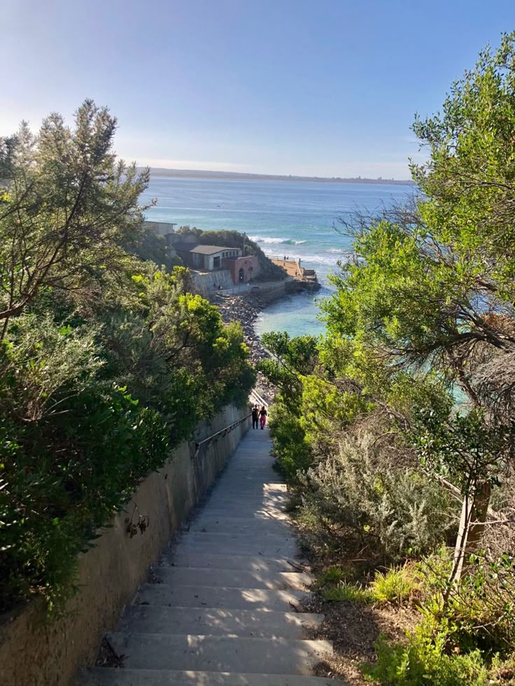 stairs leading up to the beach with people walking down them and trees on either side