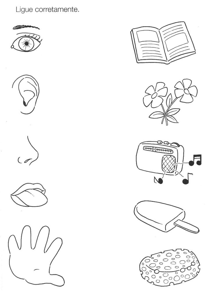 an image of different things that are in the shape of a hand and fingerprint