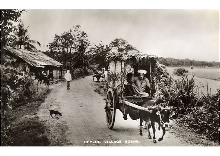 an old black and white photo of people riding in a horse drawn carriage down a dirt road