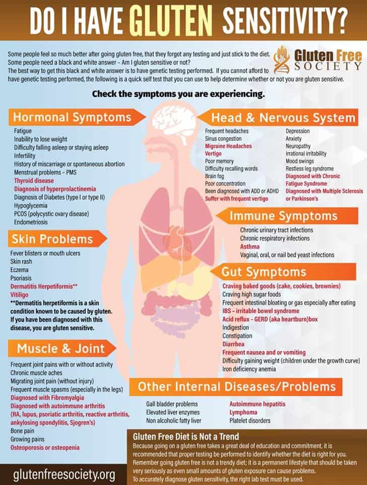 Take our gluten sensitivity test that asks the right questions to help you find if you have gluten intolerence or celiac disease. Gluten Free Diet List, Gluten Free Food List, Gluten Free Info, Going Gluten Free, Gluten Free Living, Gluten Sensitivity, Gluten Free Foods, Gluten Intolerance, Gluten Free Eating