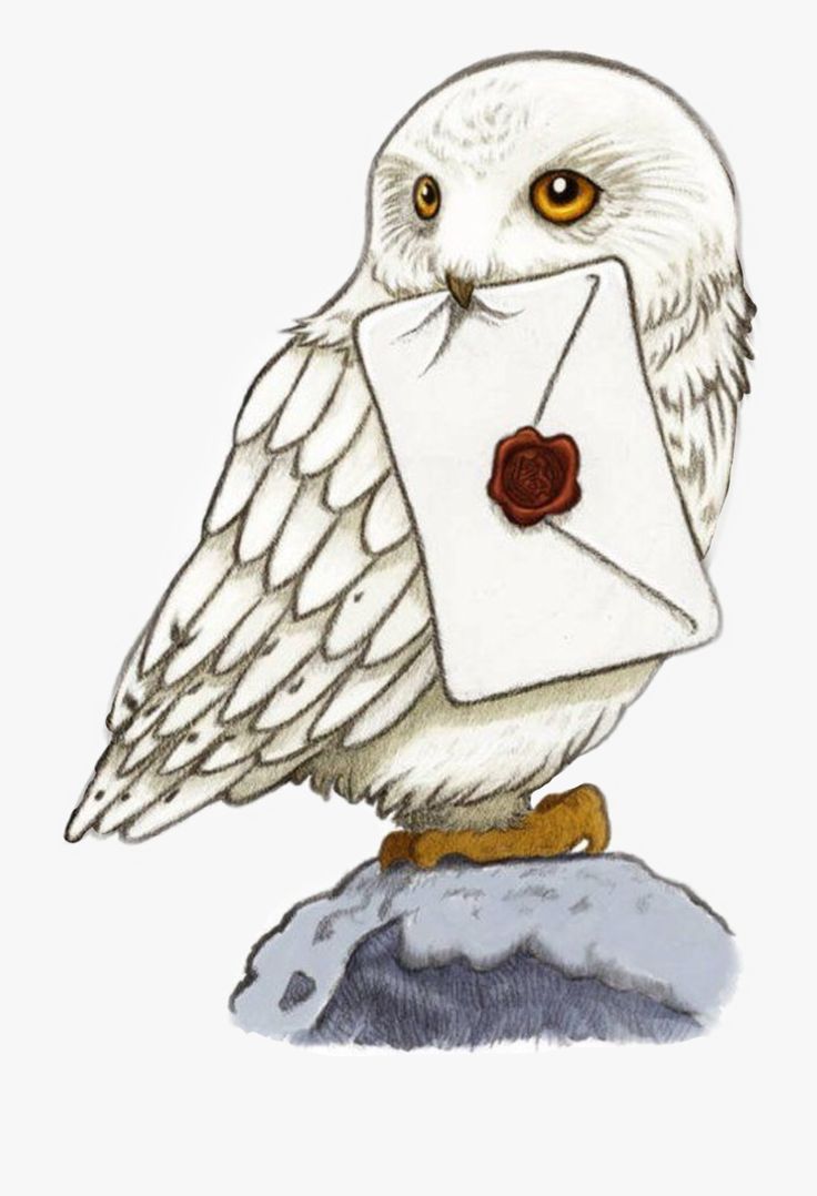 an owl is sitting on top of a rock with a letter in it's mouth