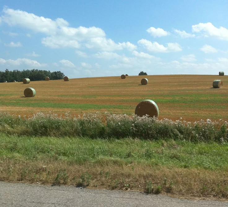 some hay bales in the middle of a field