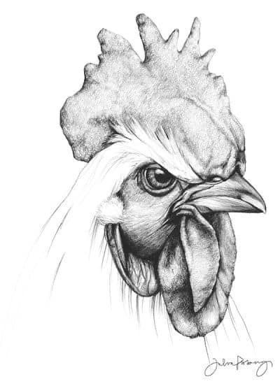 a black and white drawing of a rooster's head with the words, don't