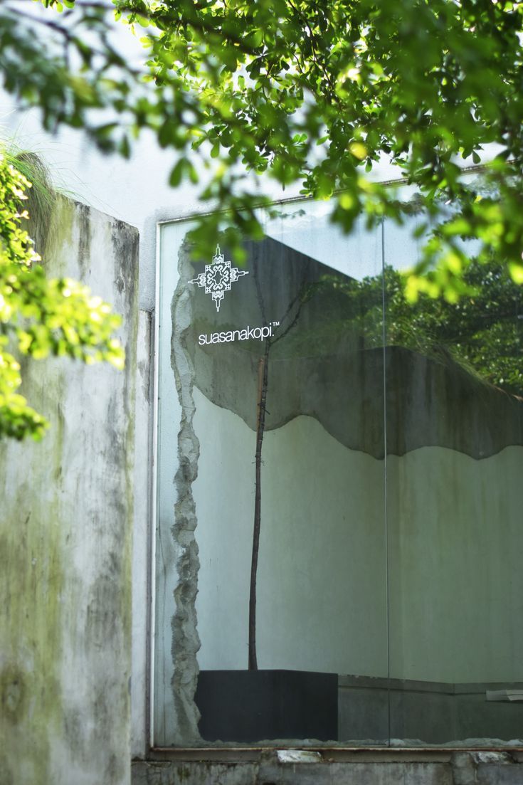 the reflection of a tree in a glass wall