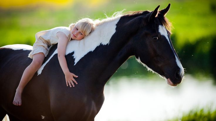 horse + child - Google Search Pony Rides, Riding Horse, Animal Science, Baby Horses, All About Horses, White Horse, Horse Painting, A Horse