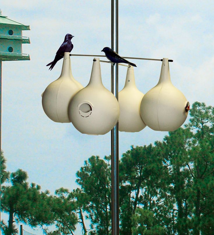 two birds sitting on top of three white vases hanging from a metal pole with trees in the background