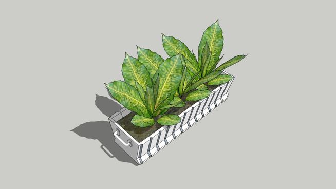 a green plant in a white container on a gray background