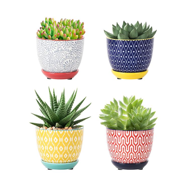 four colorful pots with succulents in them on a white background, each one painted different colors