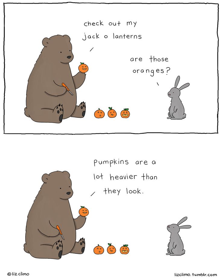 a comic strip with an image of a bear eating pumpkins and another drawing of a bunny