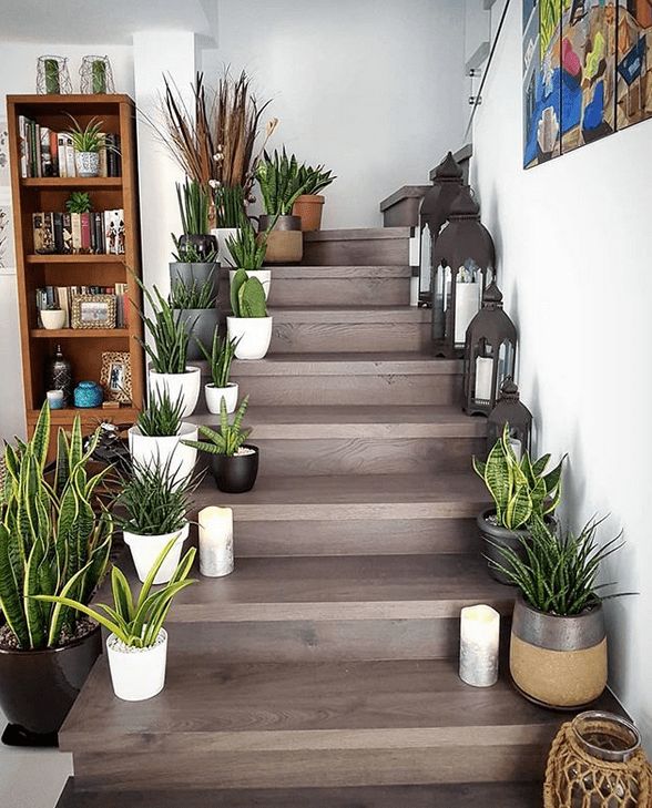 there are many potted plants on the stairs