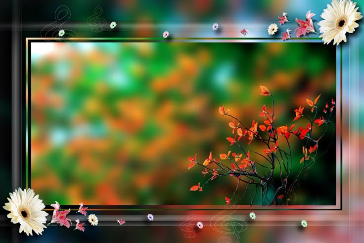 an artistic photo with daisies and flowers in the foreground on a blurry background