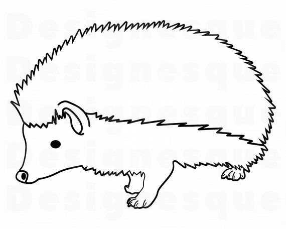 an animal that is drawn in the shape of a hedgehog with its tail curled up