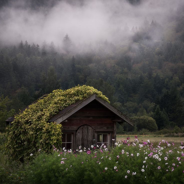 a house in the middle of a field with flowers growing on it's roof