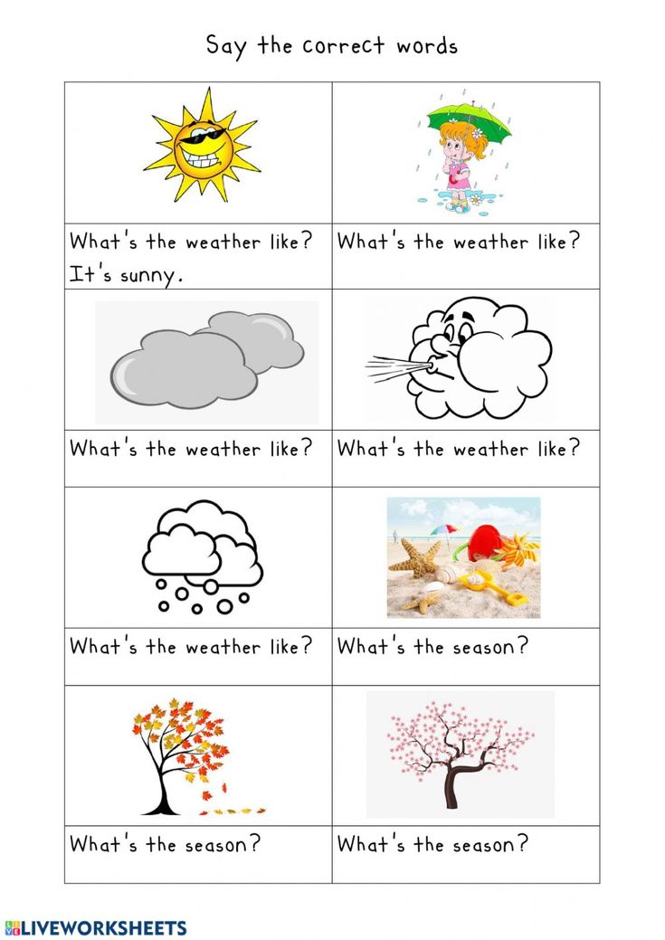 worksheet for the weather and seasons with pictures to help students learn how to read