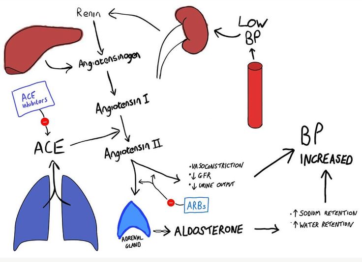 the diagram shows different types of livers and their functions