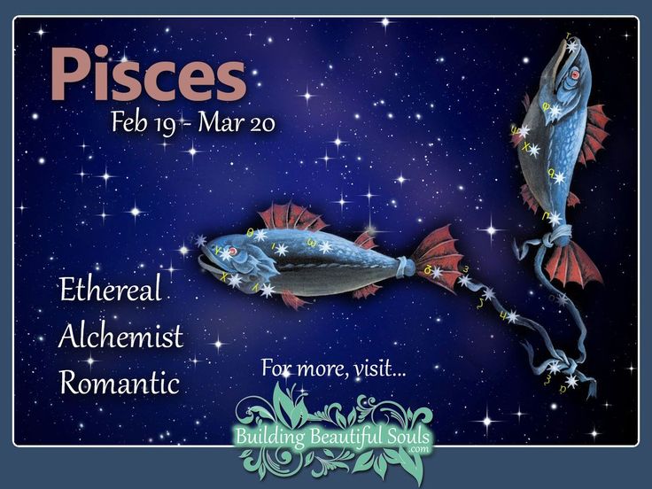 the poster for pisces is shown with two fish